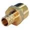 Apollo 1/2 in. Brass PEX Barb x 1/2 in. Male Pipe Thread Adapter (5-Pack), 5PK APXMA125PK - alternate 3